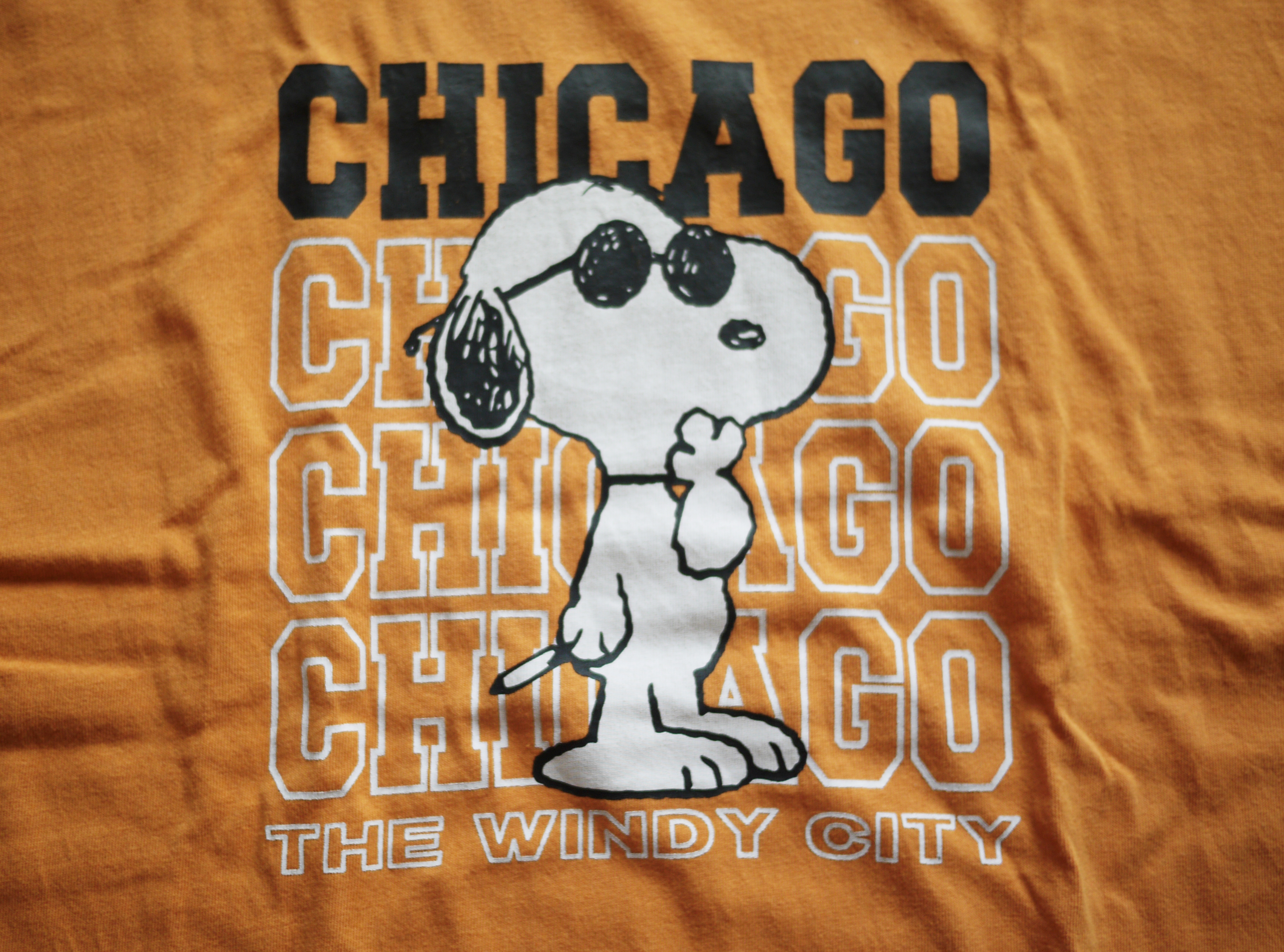 スヌーピーTシャツ